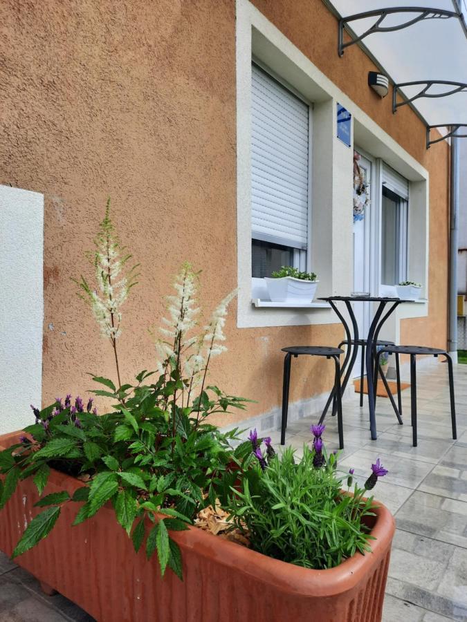 Apartmani Venium Križevci 外观 照片