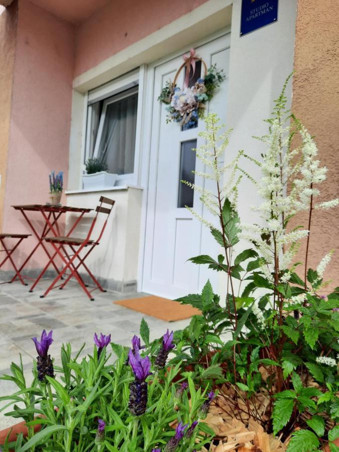 Apartmani Venium Križevci 外观 照片