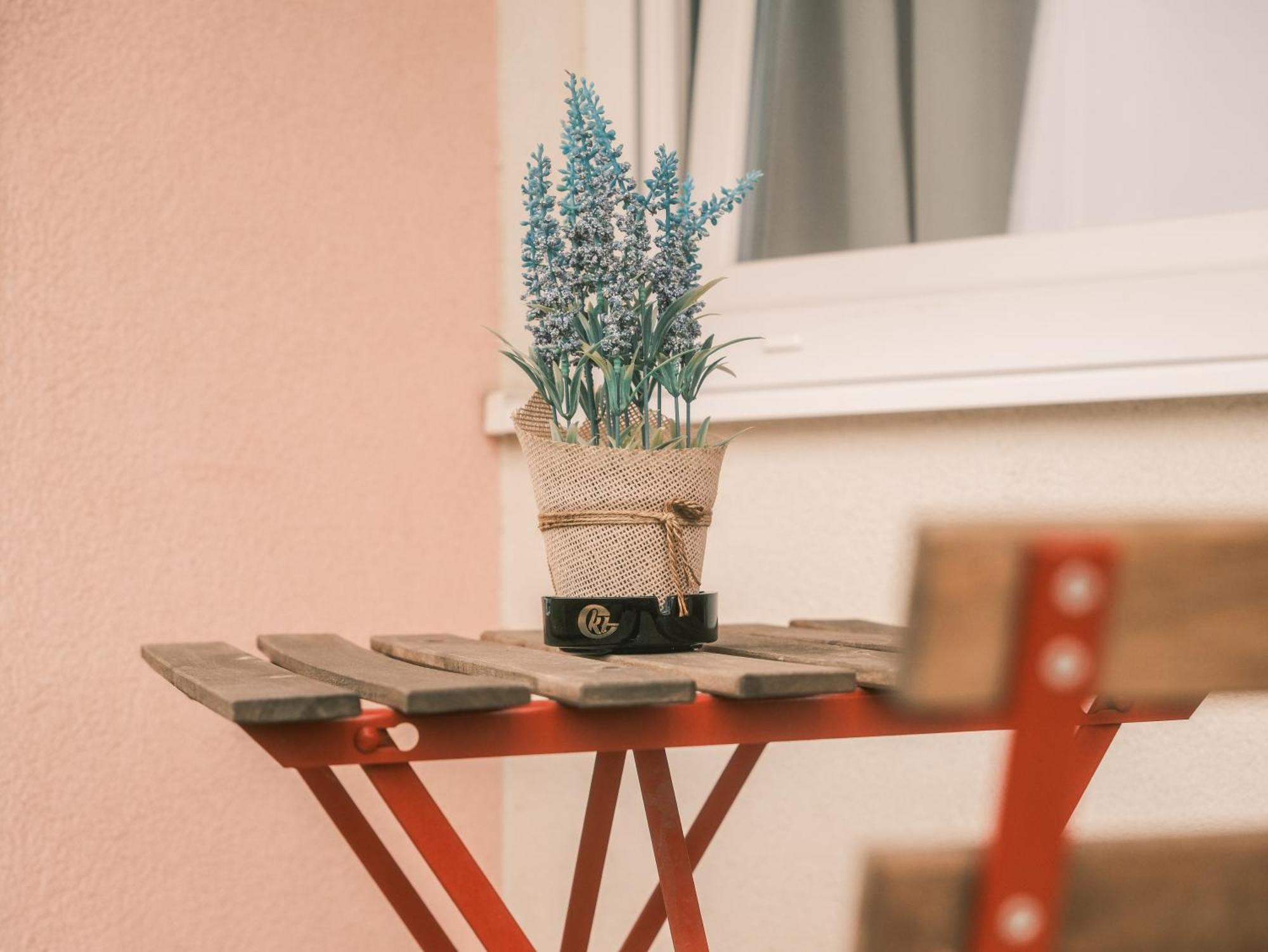 Apartmani Venium Križevci 外观 照片