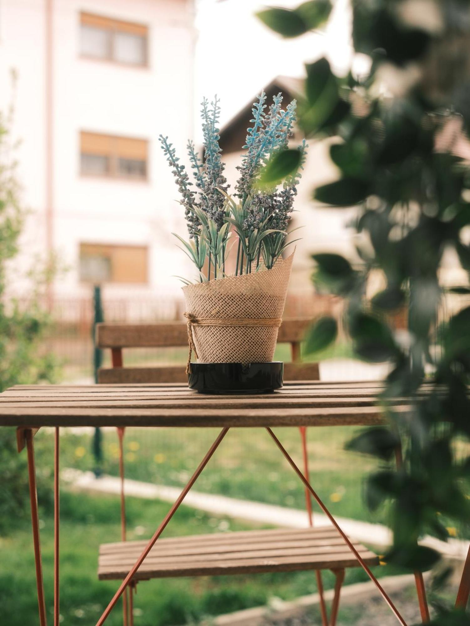 Apartmani Venium Križevci 外观 照片