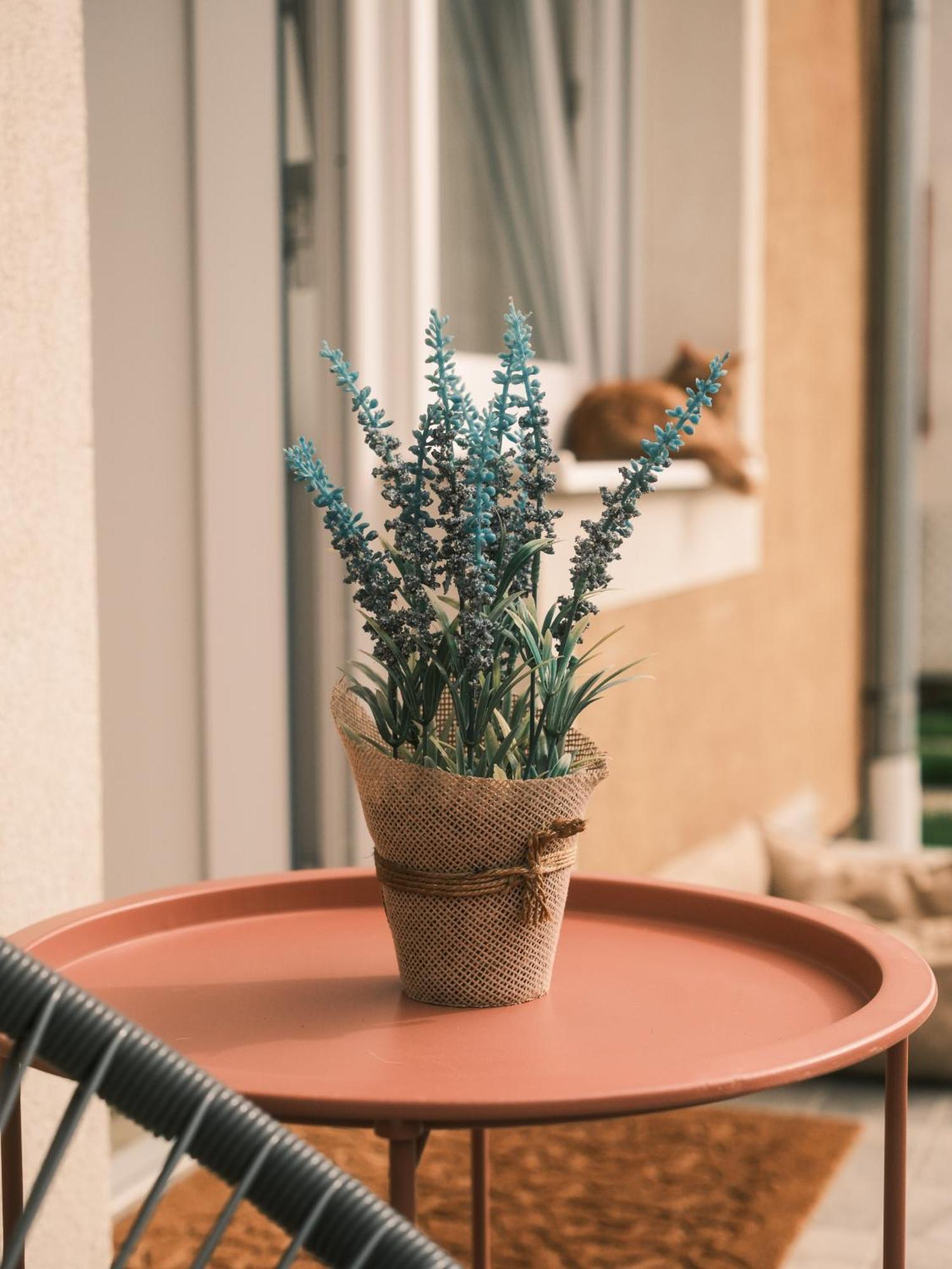 Apartmani Venium Križevci 外观 照片